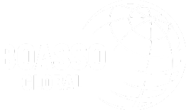 Boasso Global logo